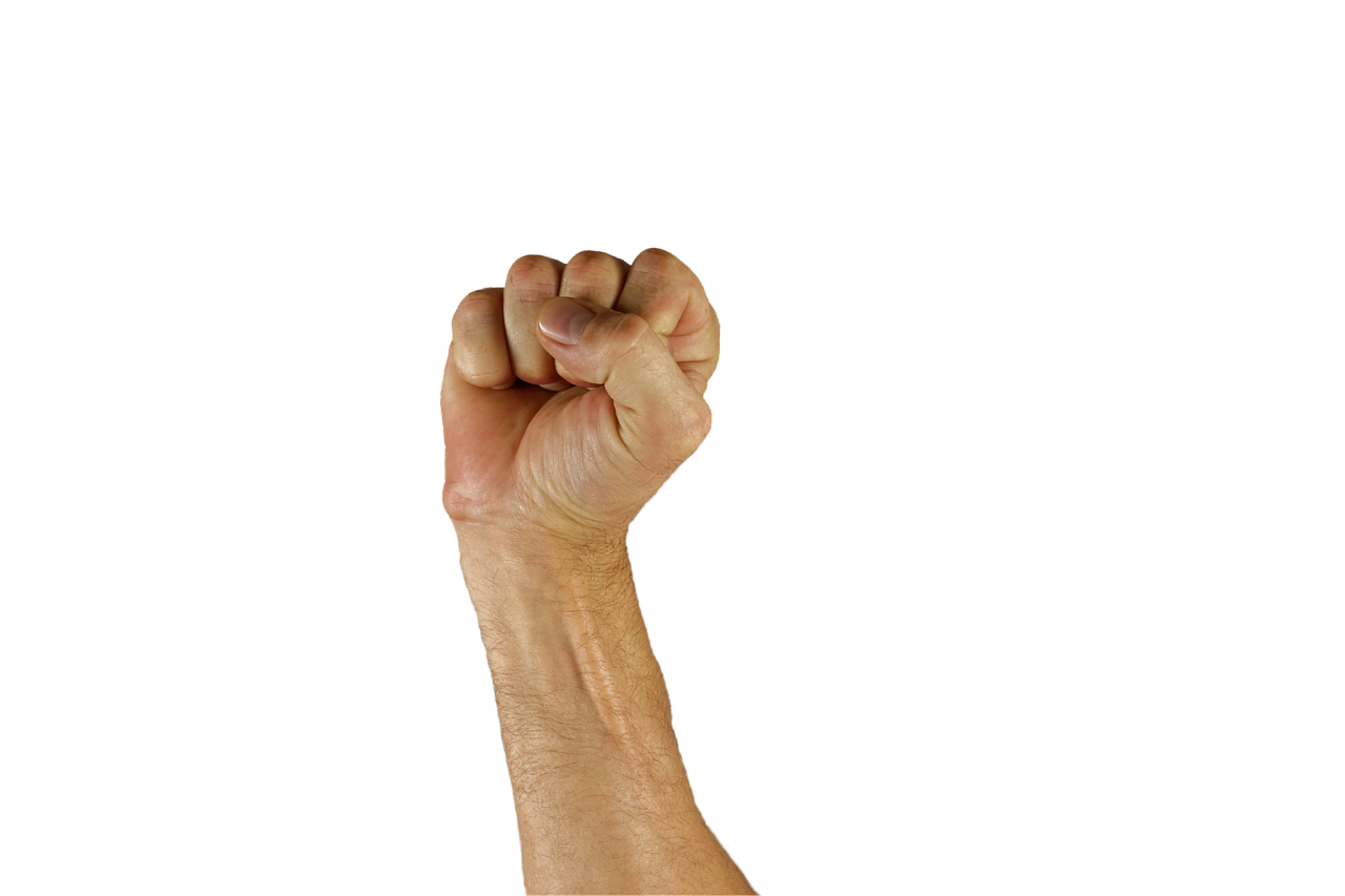 PLFSS 2026 : les députés deviennent raisonnables !!!